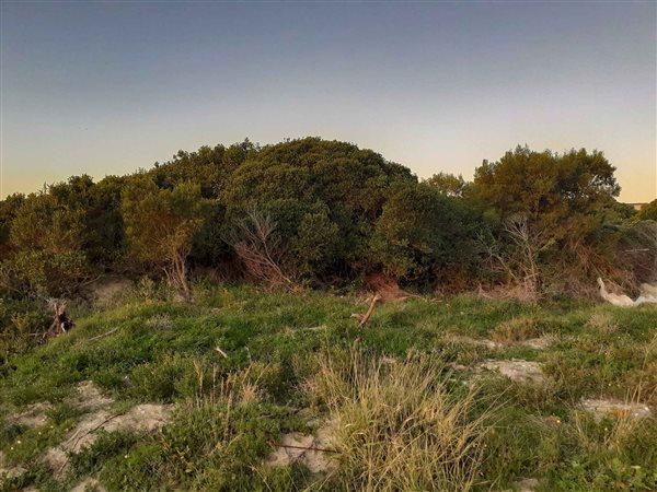 0 Bedroom Property for Sale in Paradise Beach Eastern Cape